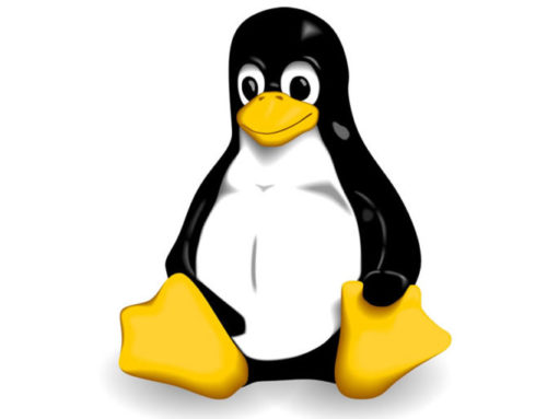 Linux, breve introduzione e curiosità